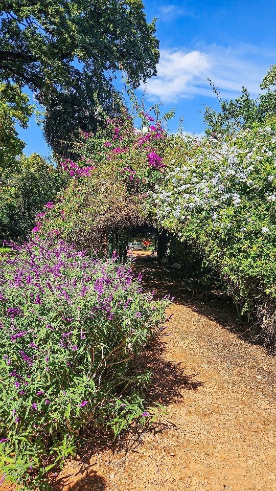 Un día de naturaleza, arte y cultura en Buenos Aires